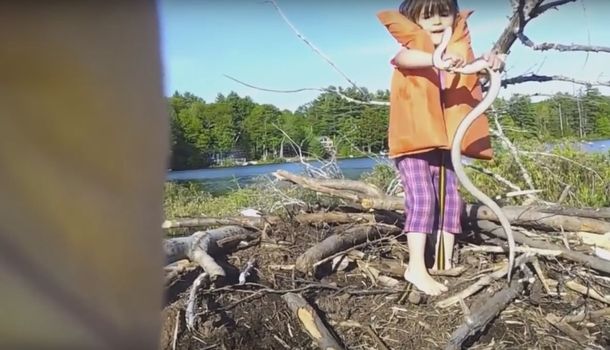 VIDEO: una nena aventurera agarra sin miedo a una víbora