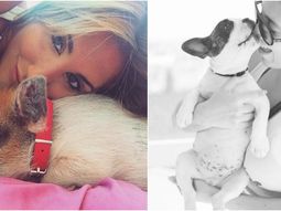 ayelen paleo adopto a una chanchita vietnamita como mascota ayelen paleo adopto a una chanchita vietnamita como mascota