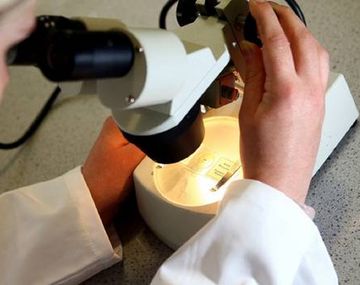 Una nena tendría la clave para la cura del cáncer