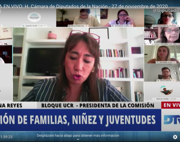 Diputados recibió a especialistas en niñez y educación