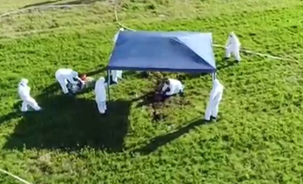 Durante los rastrillajes buscando a Anahí encontramos ocho cuerpos