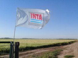 El Gobierno pasó a disponibilidad a más de 300 empleados del INTA, INASE e INV