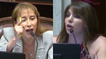 el cruce entre dos senadoras en el debate por el presupuesto: ¡callate, mamarracho! el cruce entre dos senadoras en el debate por el presupuesto: ¡callate, mamarracho!