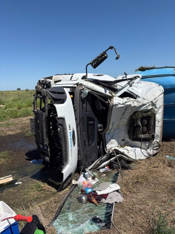 Chacabuco: volcó un camión con cerdos volcó en la Ruta 7 y vecinos se llevaron la carga