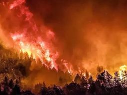 Se consumieron 7.000 hectáreas en Bariloche por el incendio