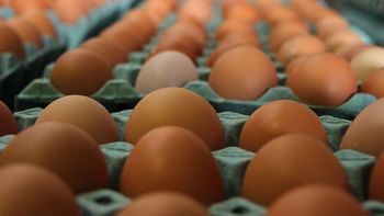 ¿cuantos huevos por persona se comen en la argentina? ¿cuantos huevos por persona se comen en la argentina?