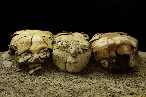 El entierro de una familia más antiguo