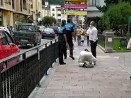 Insólito episodio en España: se hicieron pasar por perros para no usar el tapaboca