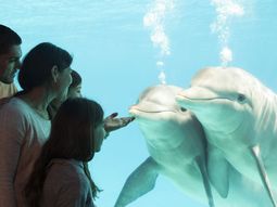 Una opción educativa y al aire libre para los chicos en Semana Santa
