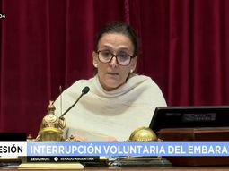 Michetti mira el reloj cada dos por tres en la recta final de la sesión histórica del Senado