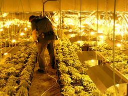 La platación dejó sin luz a un pueblo en España La platación dejó sin luz a un pueblo en España