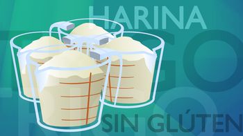 las opciones sin gluten para reemplazar la harina de trigo las opciones sin gluten para reemplazar la harina de trigo