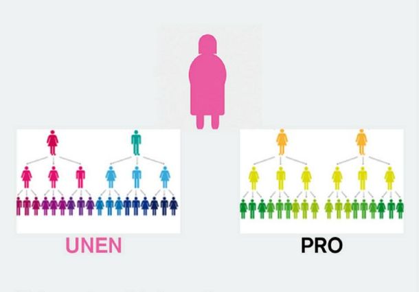 Carrió tuvo que hacer un dibujo para explicar cómo juntar FAUnen con PRO