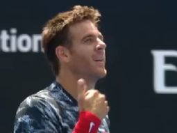 del potro volvio al circuito con una victoria despues de 11 meses de inactividad del potro volvio al circuito con una victoria despues de 11 meses de inactividad