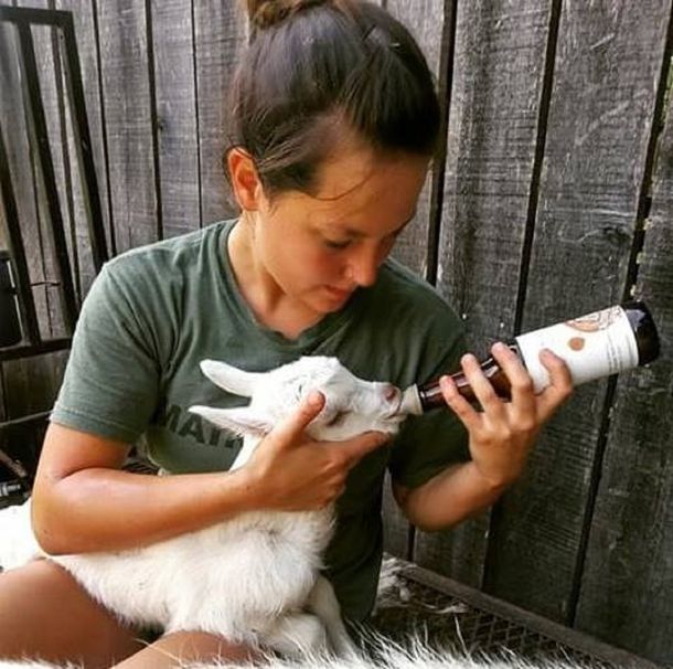 Una granja pidió voluntarios para abrazar y mimar a sus cabras bebés