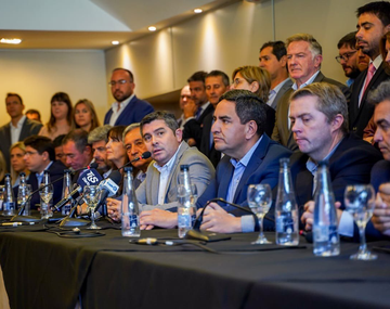 San Juan: diputado anuncia que irá a la Corte de Justicia para evitar la Ley de Lemas