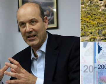 Para evitar el error de la ballena