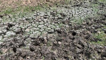 Por la sequia, la actividad económica retrocedió un 27,4% en el sector agropecuario. Por la sequia, la actividad económica retrocedió un 27,4% en el sector agropecuario.