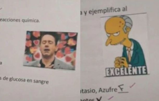 Quién es la docente que corrige con memes