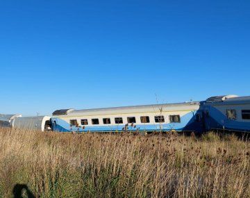 Descarriló un tren en Olavarría: hay al menos 17 heridos