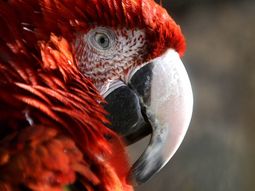 Foto: diario Los Andes.