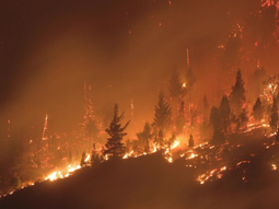 A 100 metros del fuego se te calienta todo el cuerpo: impactantes videos y testimonios desde Chubut por los implacables incendios