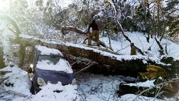 El Gobierno nacional montó un amplio operativo de asistencia en las ciudades, rutas y aeropuertos de la Patagonia afectados ante la emergencia climática por la ola polar. El Gobierno nacional montó un amplio operativo de asistencia en las ciudades, rutas y aeropuertos de la Patagonia afectados ante la emergencia climática por la ola polar.