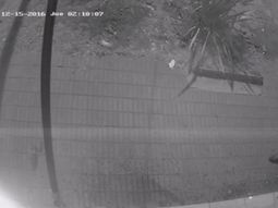 Leandro Fagioli, la víctima del atentado Leandro Fagioli, la víctima del atentado