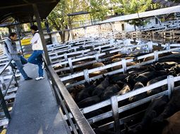 Mercado de Liniers JH  13