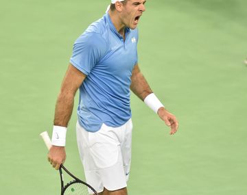 Del Potro vs. Ivo Karlovic