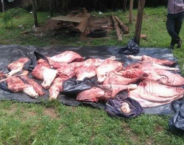 Denuncia contra la comisaría de Pueblo Libertador por robo de ganado