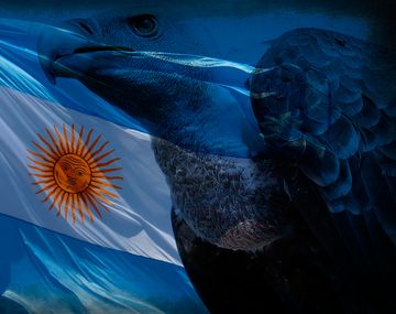 Fondos buitre piden confidencialidad para negociar con el país