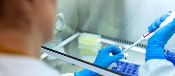 Mientras Milei lo quiere cerrar, el Conicet logró un importante avance en la lucha conta la leucemia