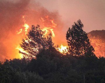 Incendios en Grecia: los bomberos aseguran que las llamas están controladas
