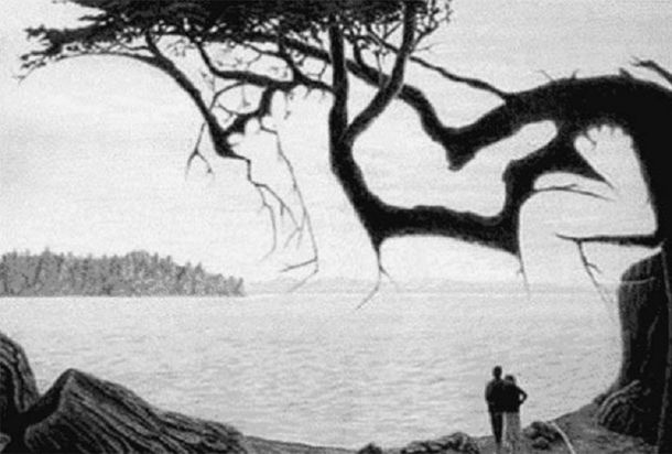 Encontrá al bebé perdido en esta imagen