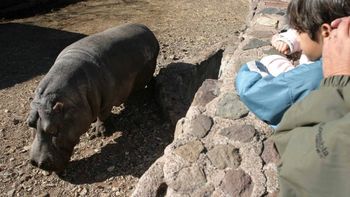 Gentileza diario Los Andes Gentileza diario Los Andes