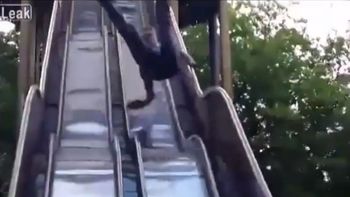 casi se mata al tirarse por un tobogan casi se mata al tirarse por un tobogan