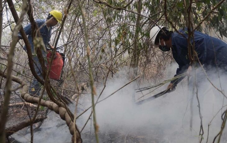 Jujuy y La Rioja presentan incendios