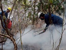 Incendios forestales: hay focos activos en Jujuy, San Luis y Córdoba