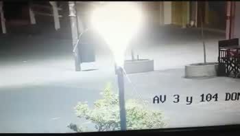 aumenta el panico: son varios los pumas sueltos en villa gesell aumenta el panico: son varios los pumas sueltos en villa gesell