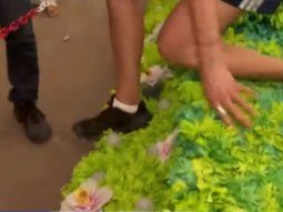 Indignación en Jujuy: periodista de TN dañó una carroza en plena Fiesta de los Estudiantes