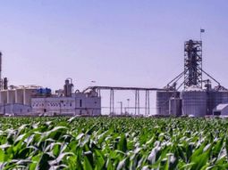 Biocombustibles: las razones que frenan la ley