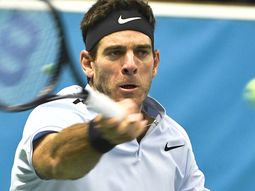 del potro derroto a dimitrov retuvo el titulo en el atp de estocolmo del potro derroto a dimitrov retuvo el titulo en el atp de estocolmo