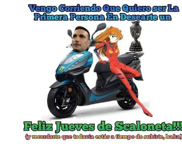 A la Scaloneta la quieren todos y la celebran con geniales memes
