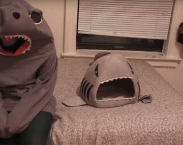 Un gato se asusta cuando ve a su dueño disfrazado como su juguete favorito