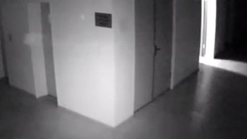 La extraña aparición que causó terror en una municipalidad La extraña aparición que causó terror en una municipalidad