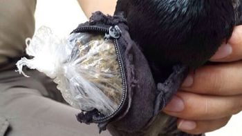 Gentileza portal esmitv.com Gentileza portal esmitv.com