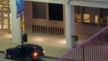 video: asi atacaba uno de los francotiradores en dallas video: asi atacaba uno de los francotiradores en dallas