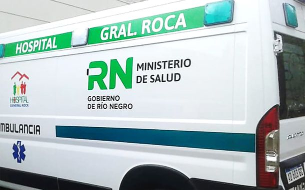 Tres perros salvaron de morir congelado a un joven rionegrino