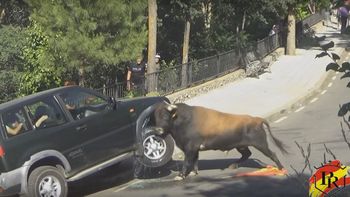 video: mira a un toro enojado destrozar una camioneta con gente adentro video: mira a un toro enojado destrozar una camioneta con gente adentro